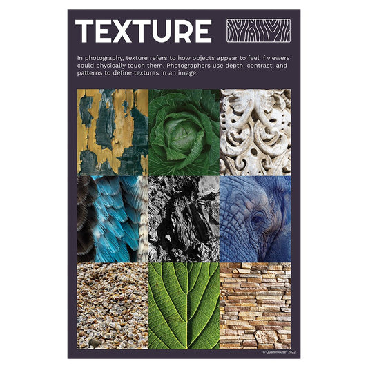Quarterhouse Elements of Photography - Texture Poster, Art Classroom Materials for Teachers