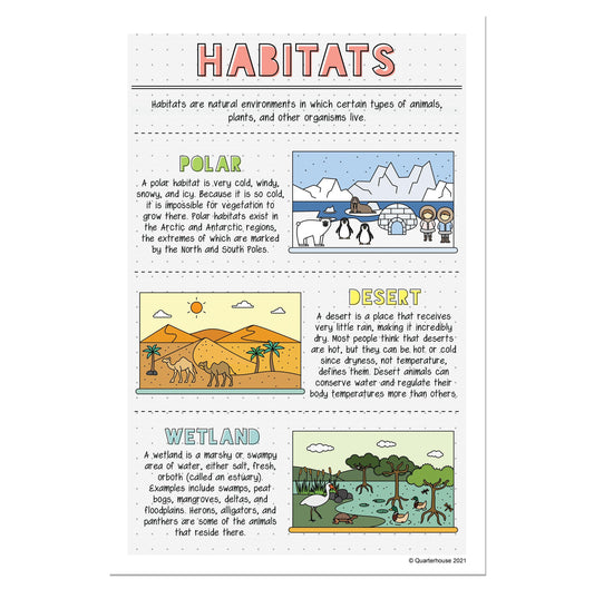 Quarterhouse Polar, Desert, and Wetland Habitats Poster, Social Studies Classroom Materials for Teachers