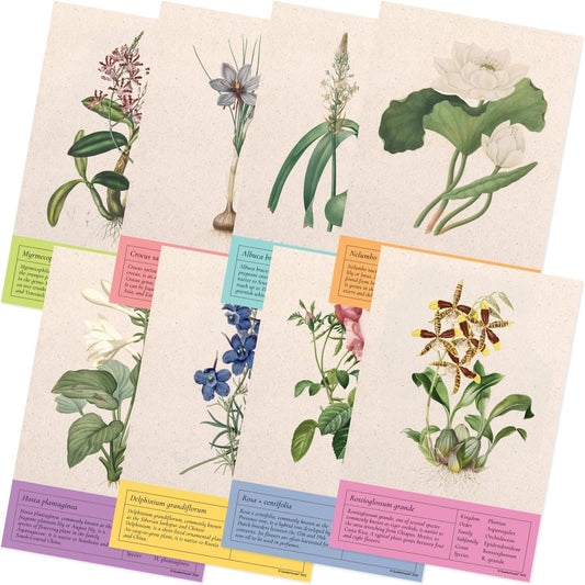Quarterhouse Vintage Botanical Prints Poster Set, Science Classroom Learning Materials for K-12 Students and Teachers, Set of 8, 12 x 18 Inches, Extra Durable