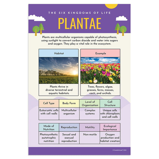 Quarterhouse Plantae Poster, Science Classroom Materials for Teachers