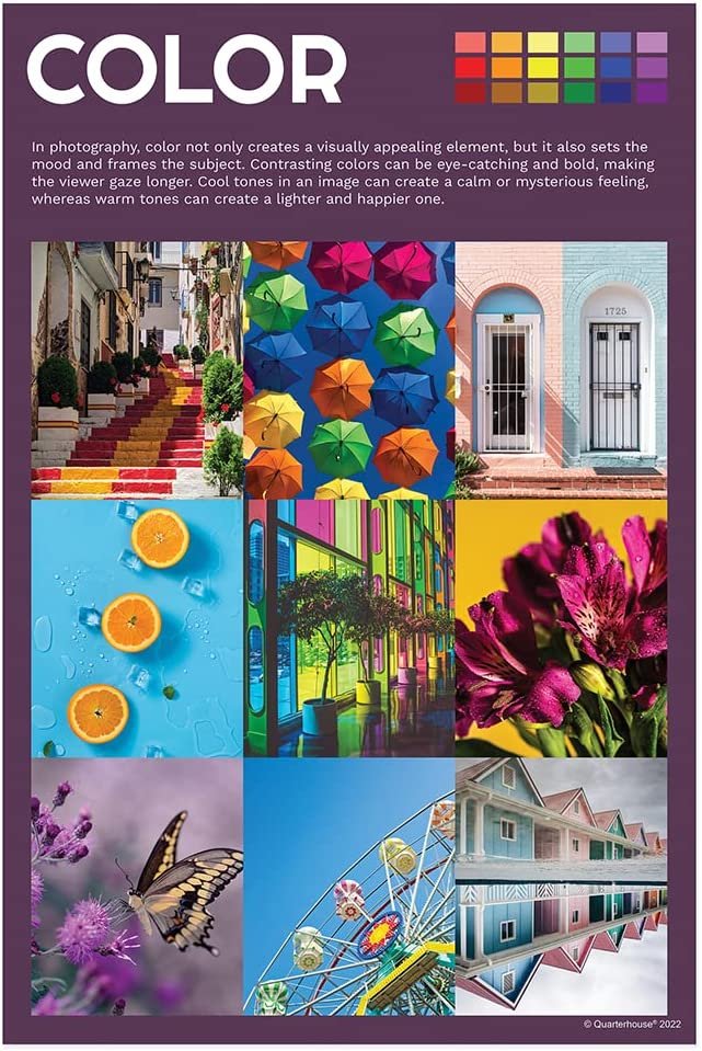 Quarterhouse Elements of Photography Poster Set, Art Classroom Learning Materials for K-12 Students and Teachers, Set of 7, 12 x 18 Inches, Extra Durable